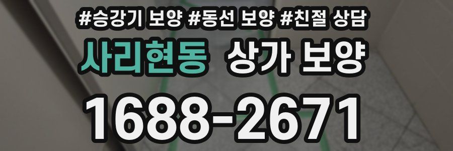 사리현동 상가 보양