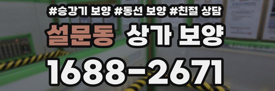 설문동 상가 보양