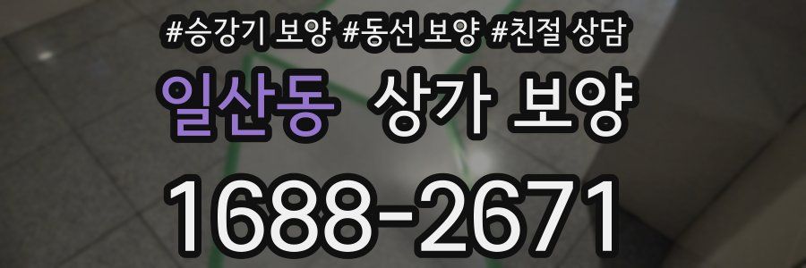 일산동 상가 보양