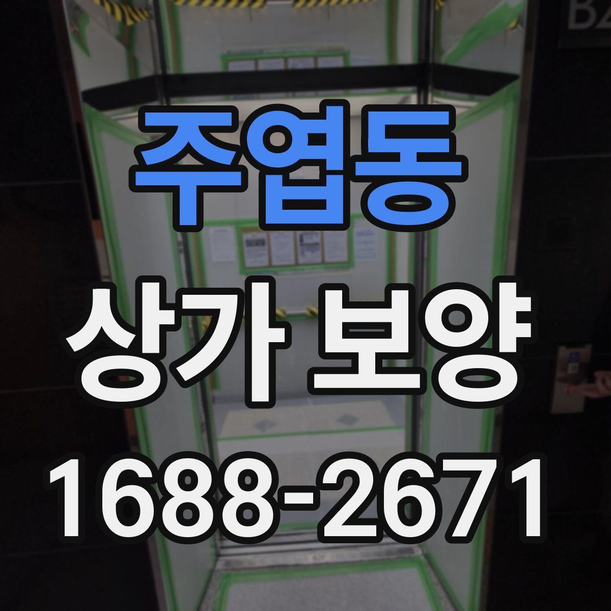 주엽동 상가 보양