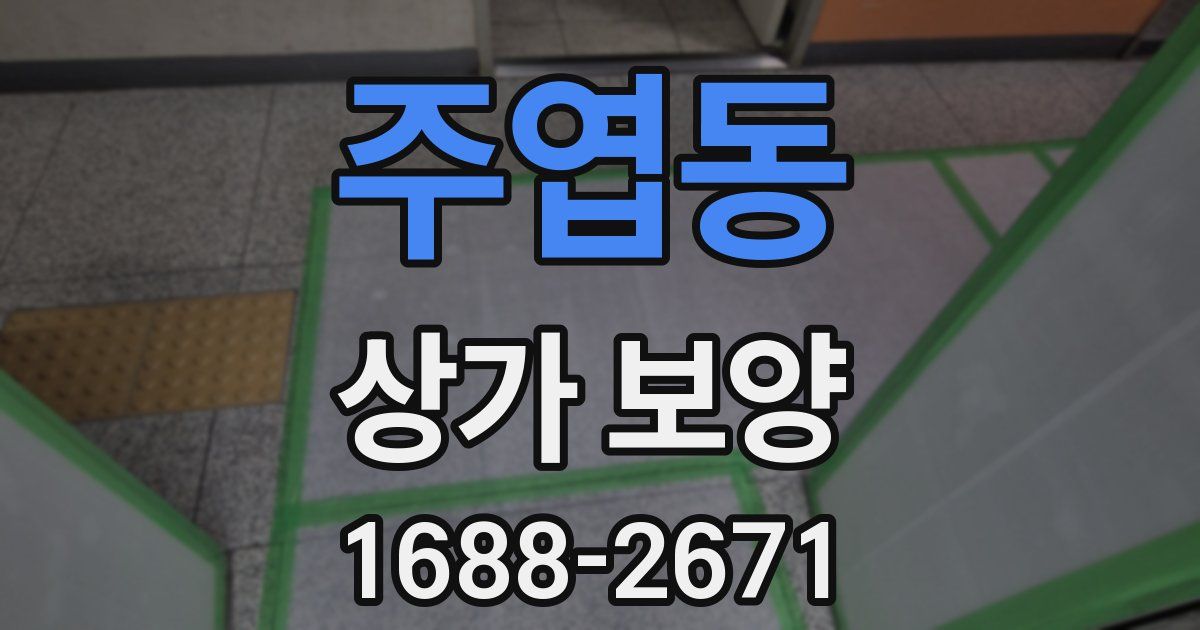 주엽동 상가 보양