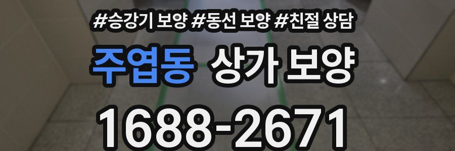 주엽동 상가 보양