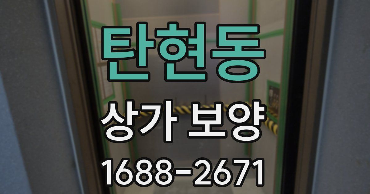 탄현동 상가 보양