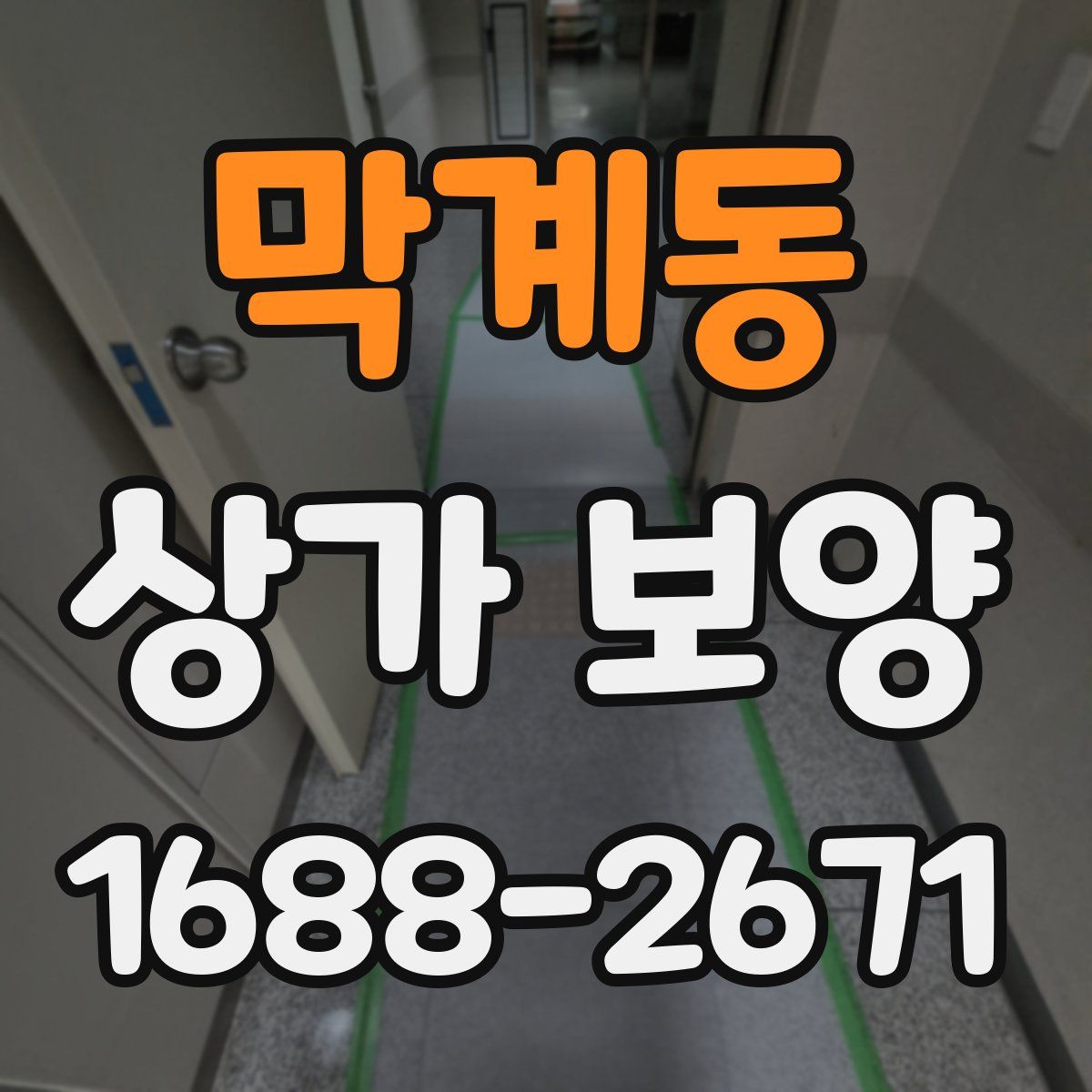 막계동 상가 보양