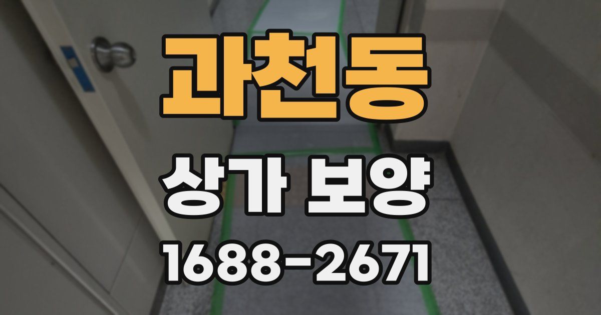 과천동 상가 보양