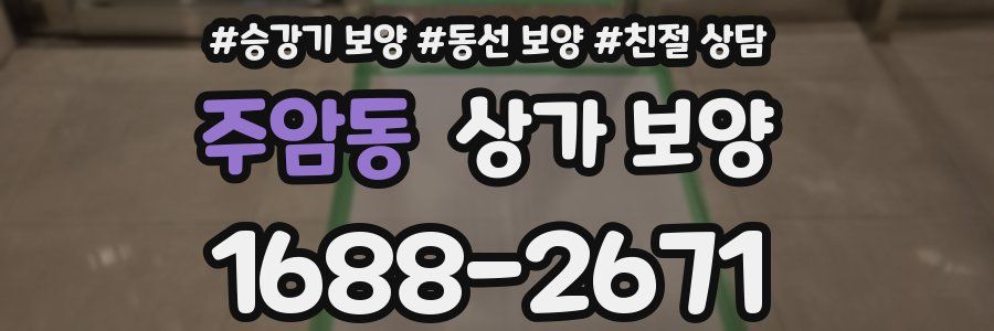 주암동 상가 보양