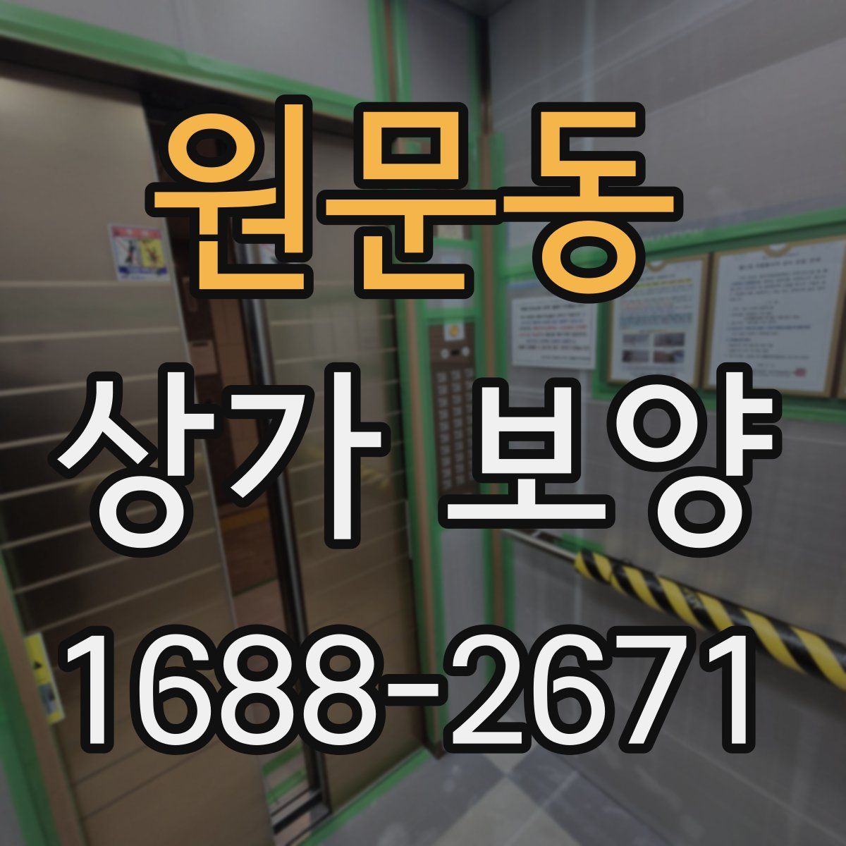 원문동 상가 보양
