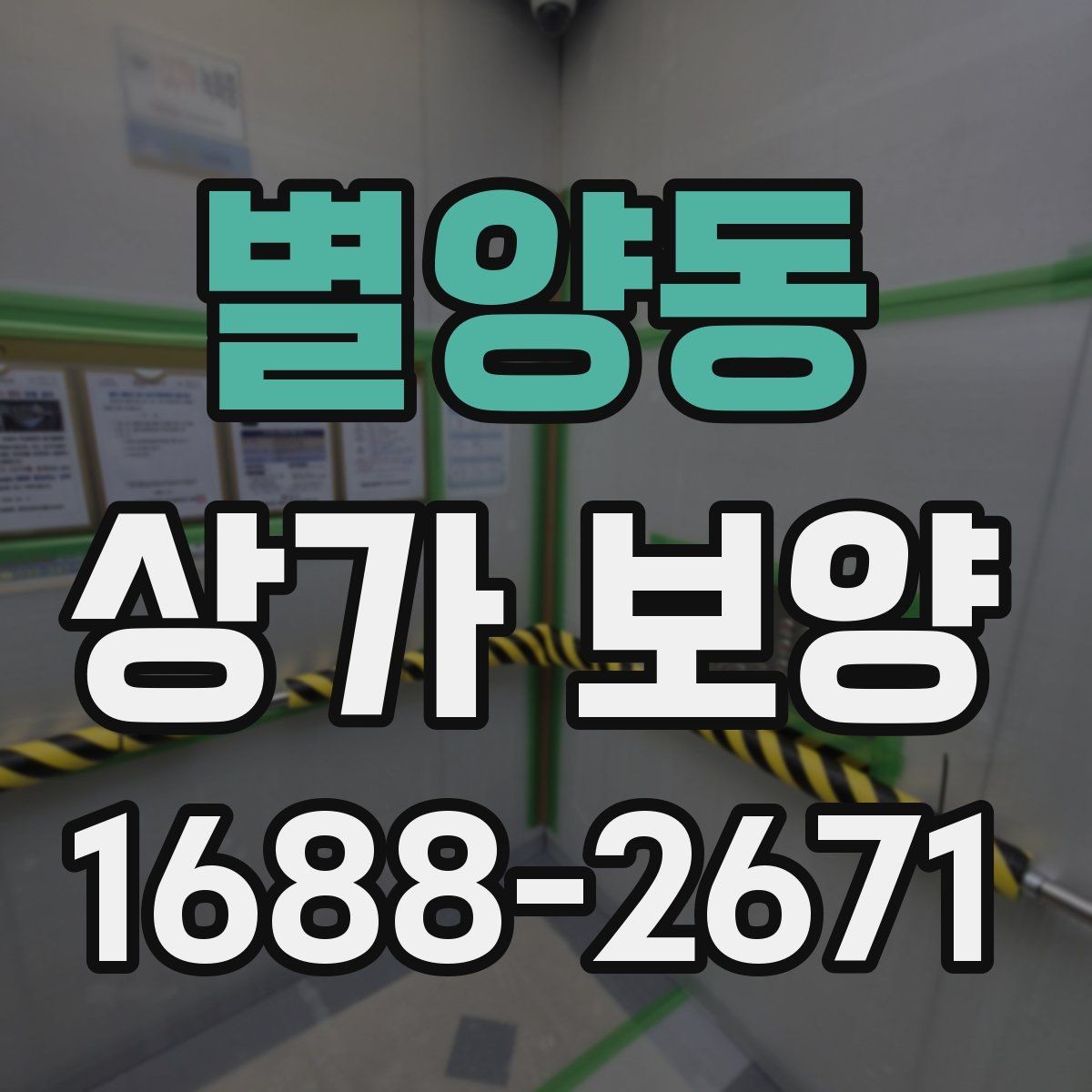 별양동 상가 보양 작업에 적합한 보호재 종류