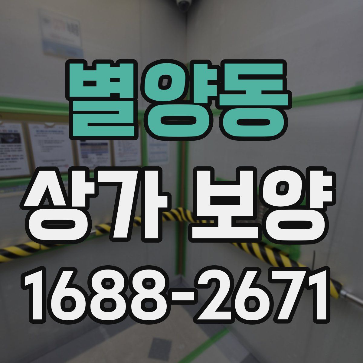 별양동 상가 보양