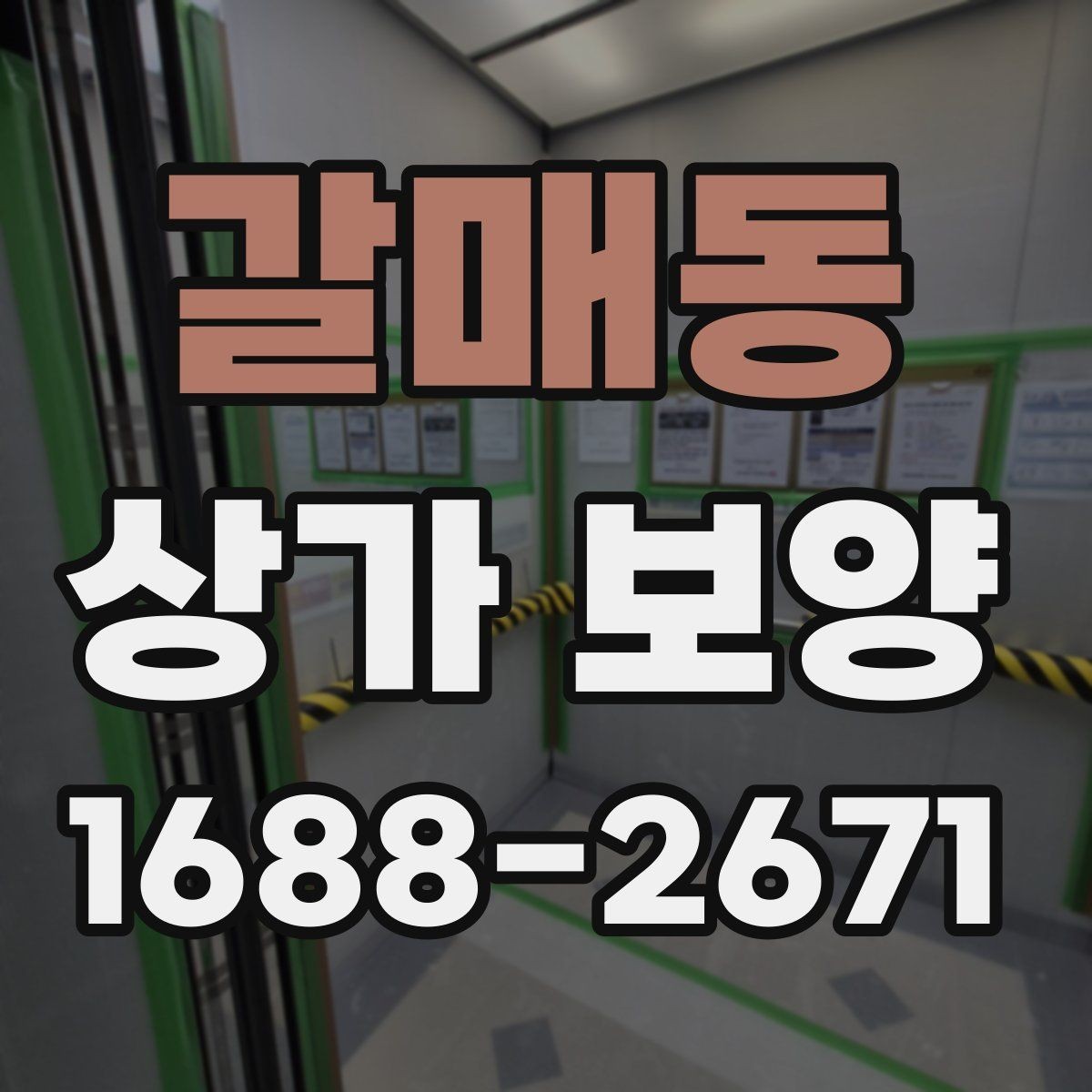갈매동 상가 보양 자재별 장단점 비교