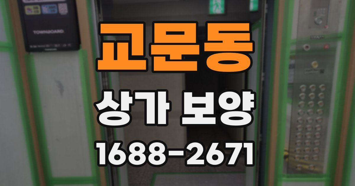교문동 상가 보양