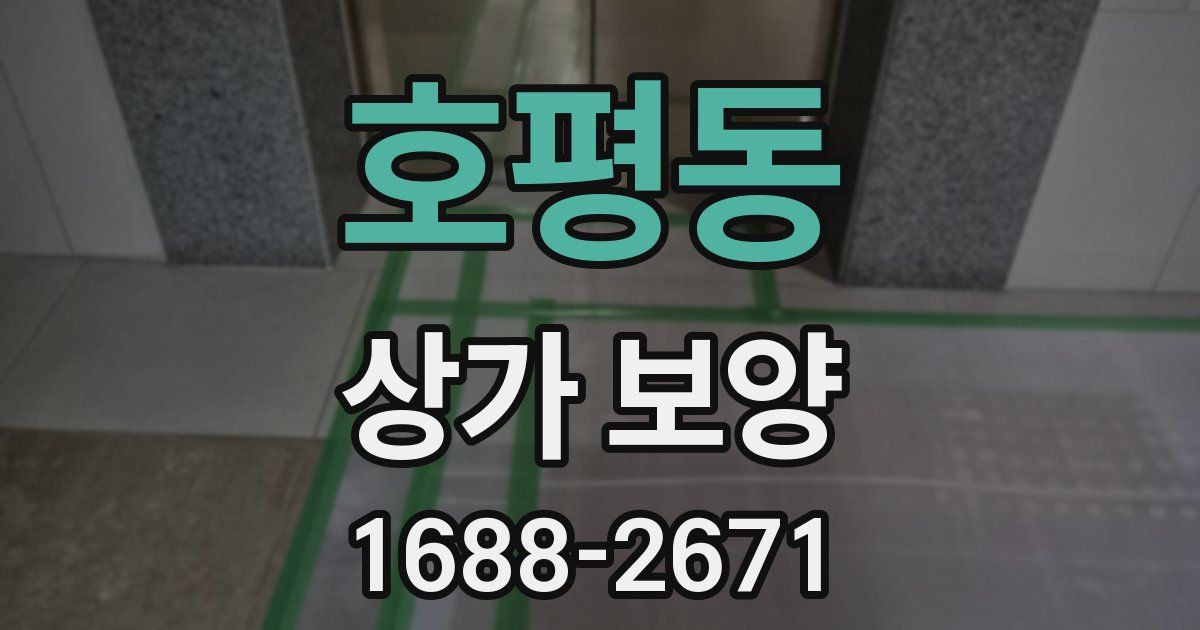 호평동 상가 보양
