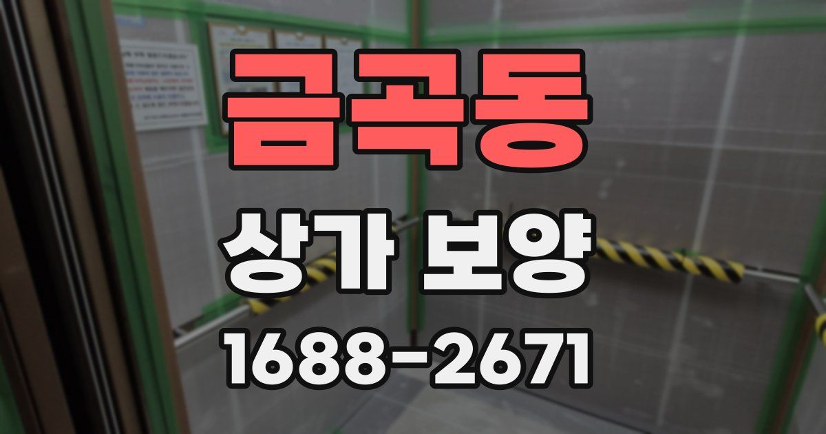 금곡동 상가 보양