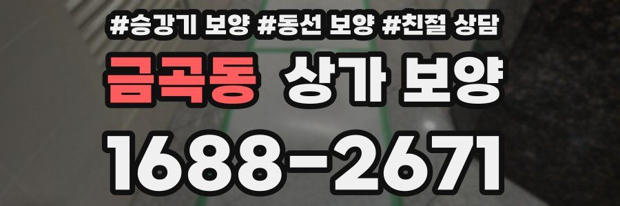 금곡동 상가 보양
