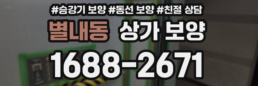 별내동 상가 보양