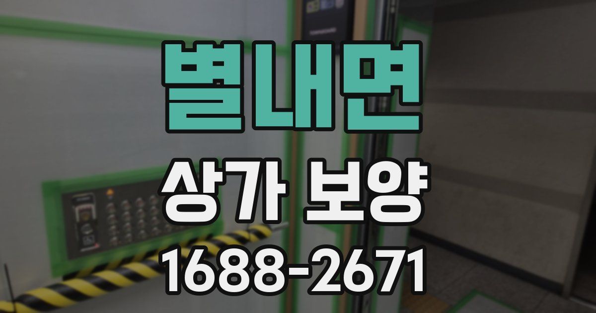 별내면 상가 보양