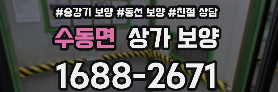 수동면 상가 보양