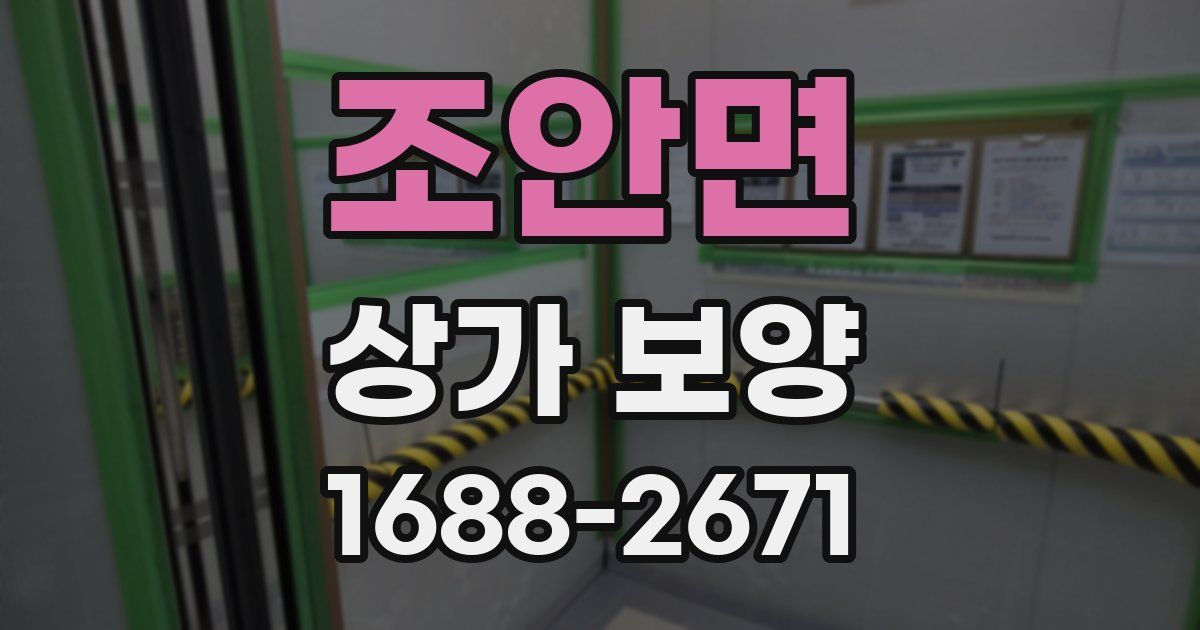 조안면 상가 보양