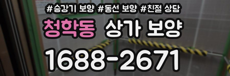 청학동 상가 보양