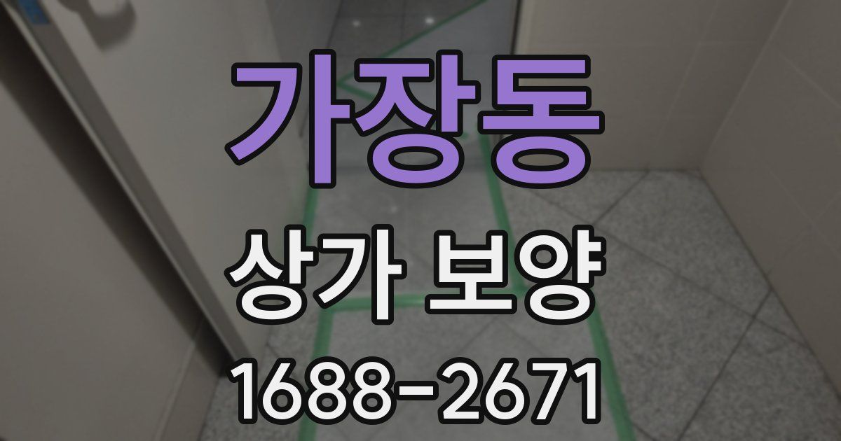 가장동 상가 보양