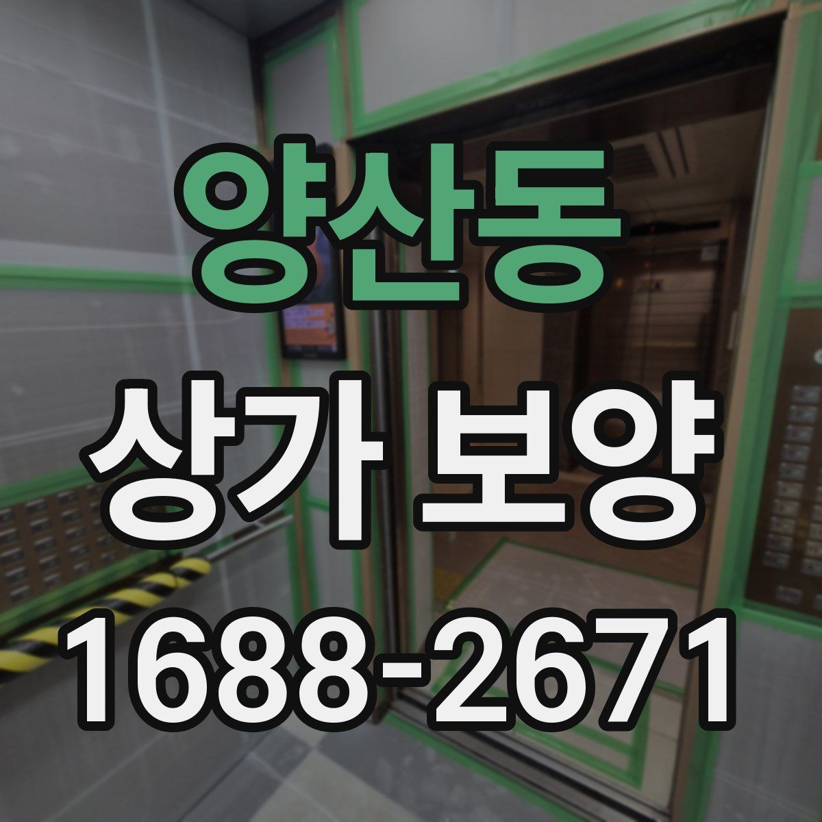 양산동 상가 보양