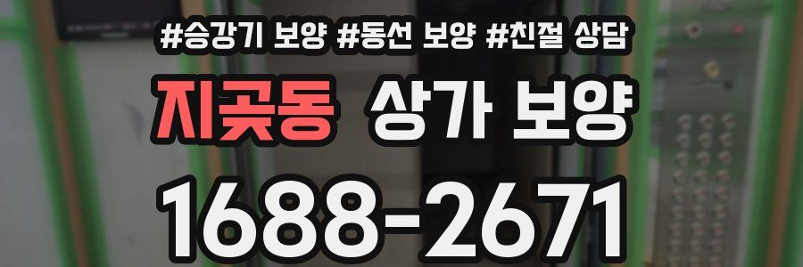 지곶동 상가 보양
