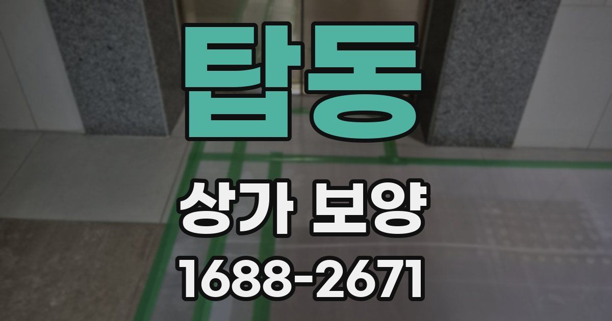 탑동 상가 보양