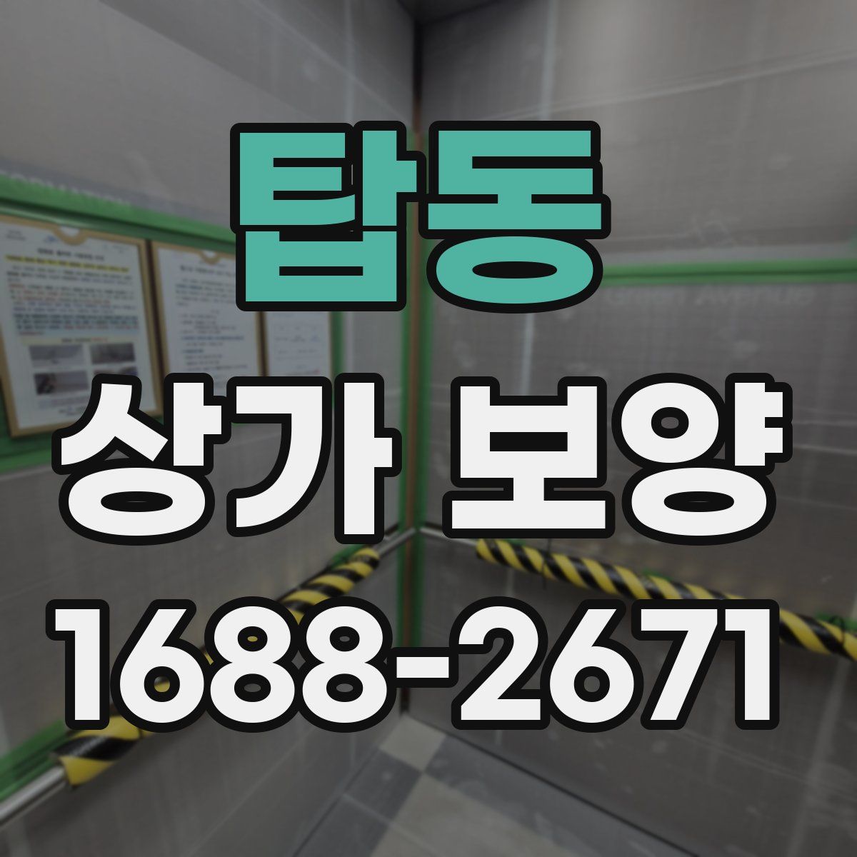 탑동 상가 보양