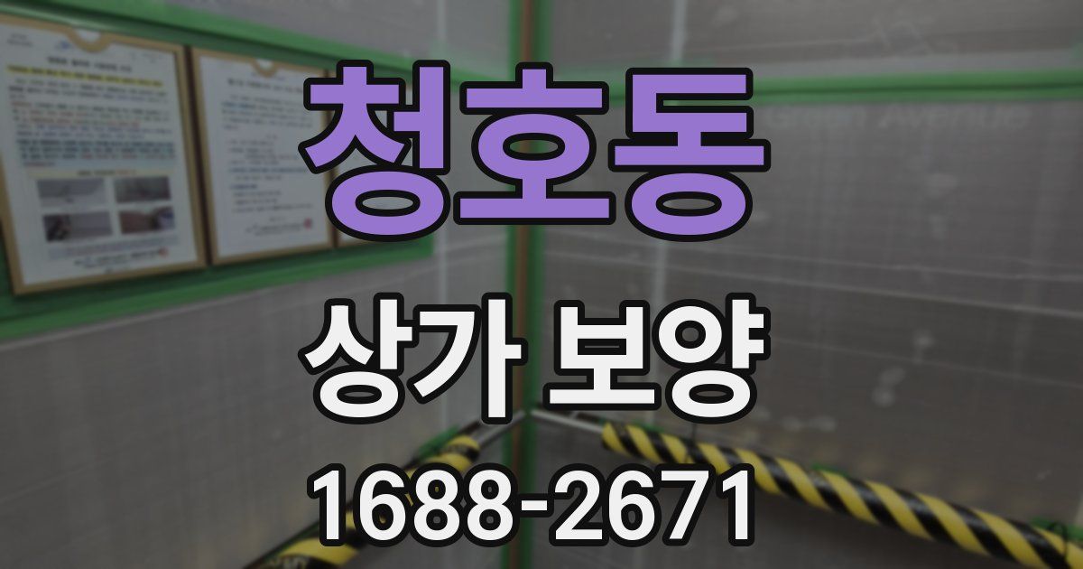 청호동 상가 보양