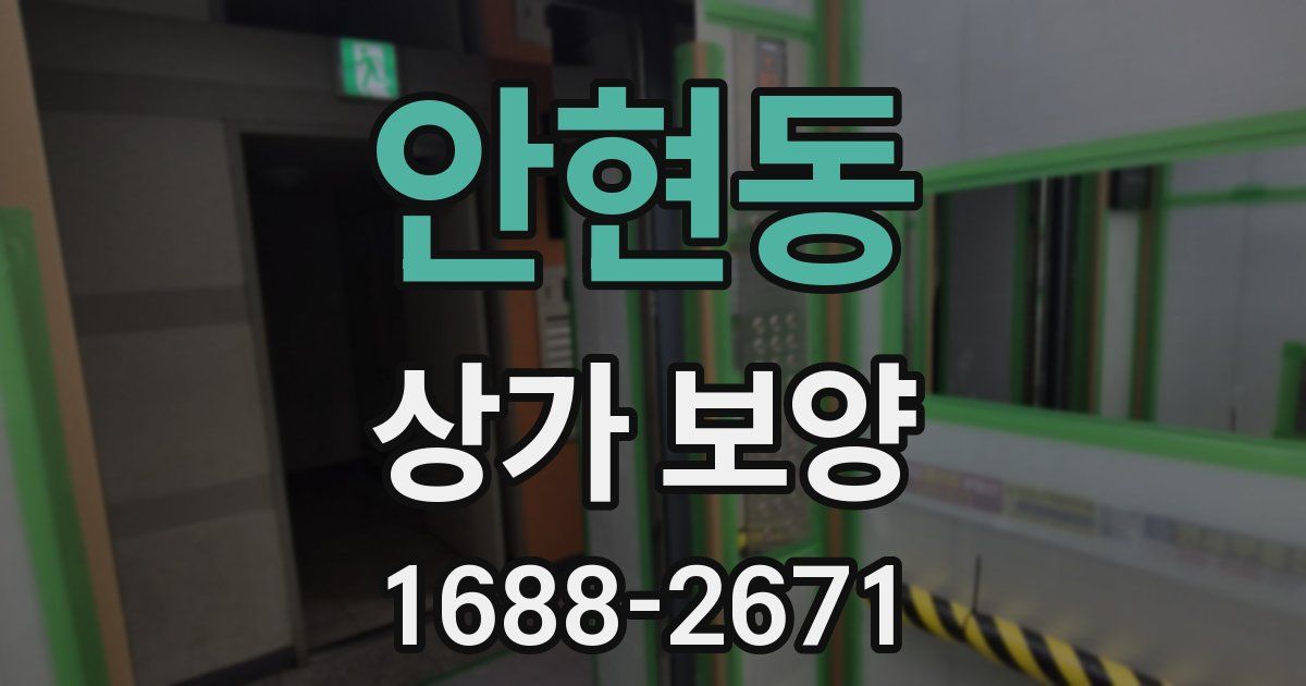 안현동 상가 보양