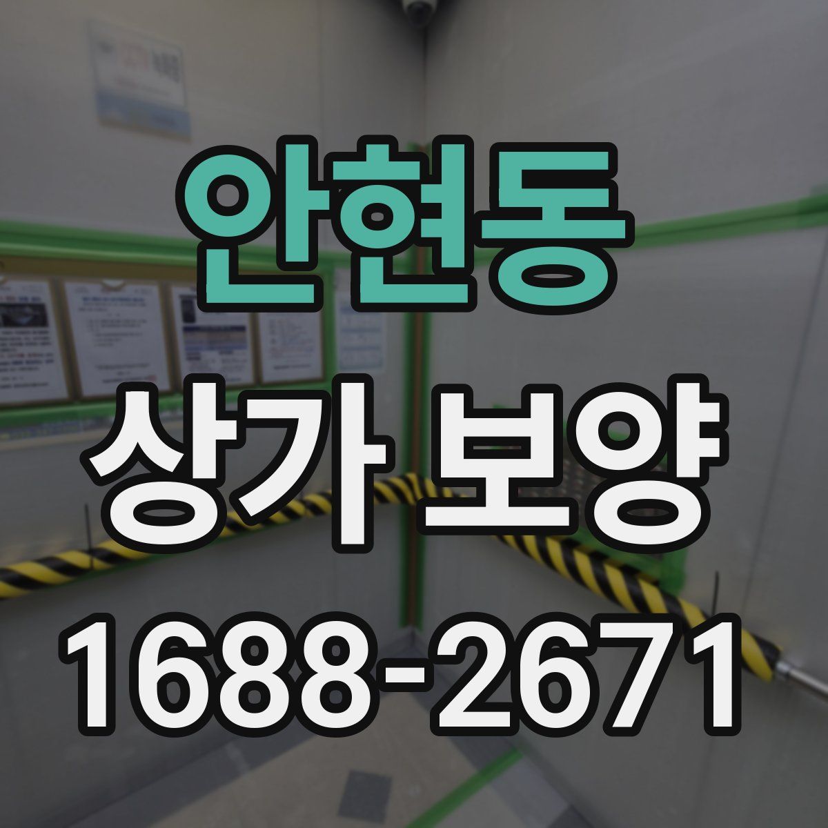안현동 상가 보양