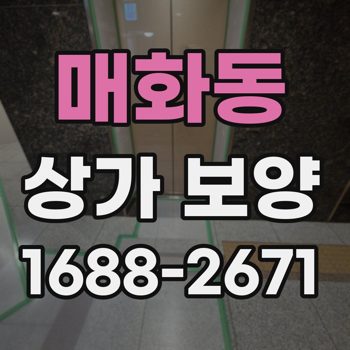 매화동 상가 보양