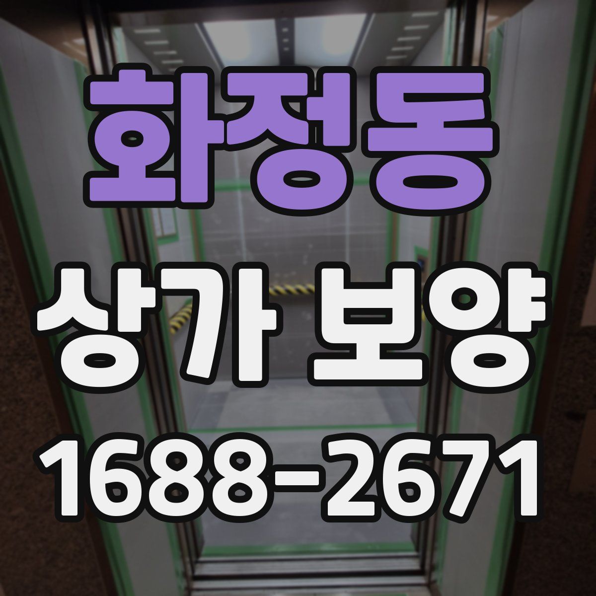 화정동 상가 보양