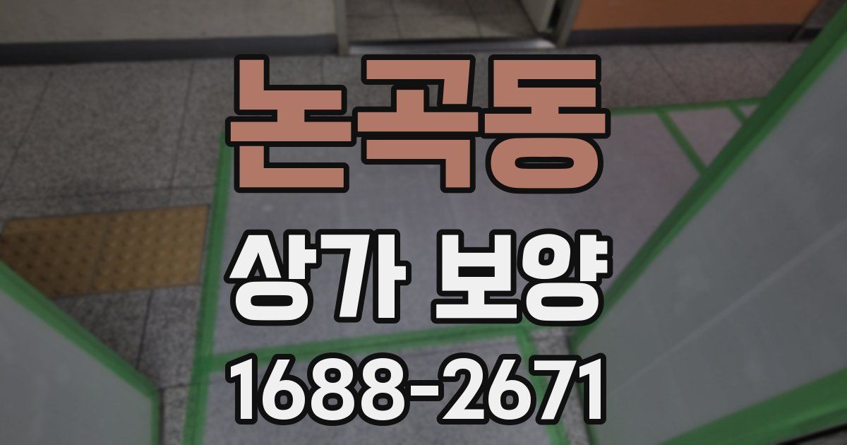 논곡동 상가 보양