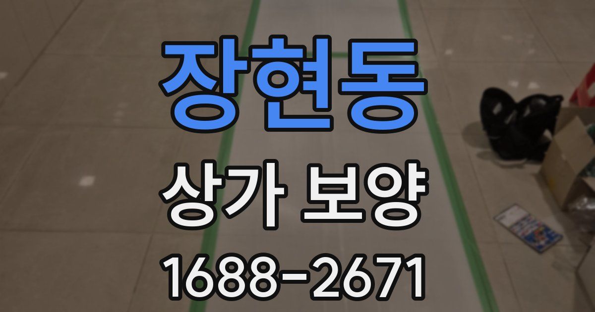 장현동 상가 보양