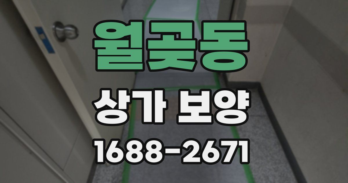 월곶동 상가 보양
