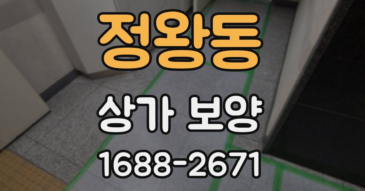 정왕동 상가 보양