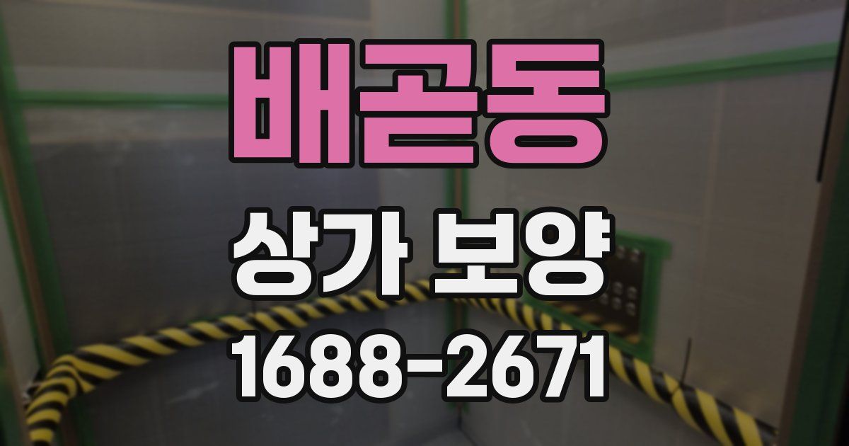 배곧동 상가 보양