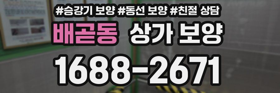 배곧동 상가 보양