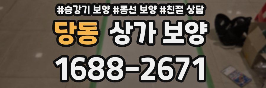 당동 상가 보양