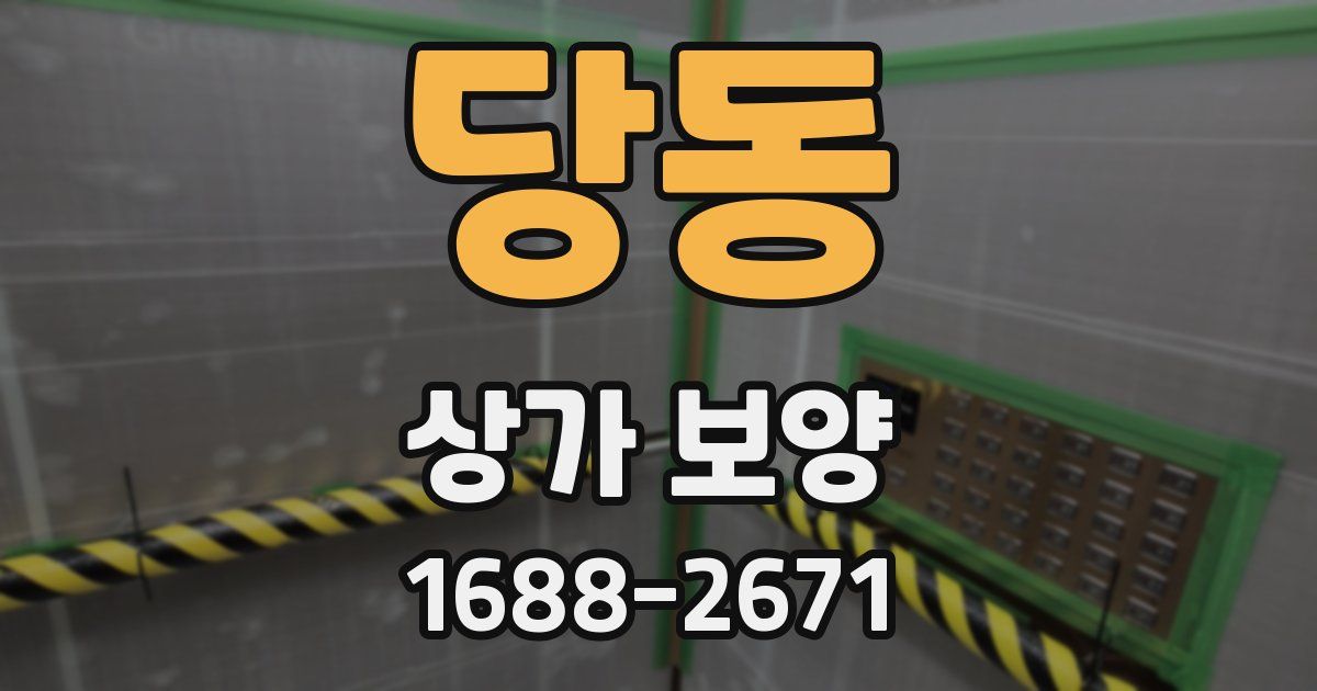 당동 상가 보양