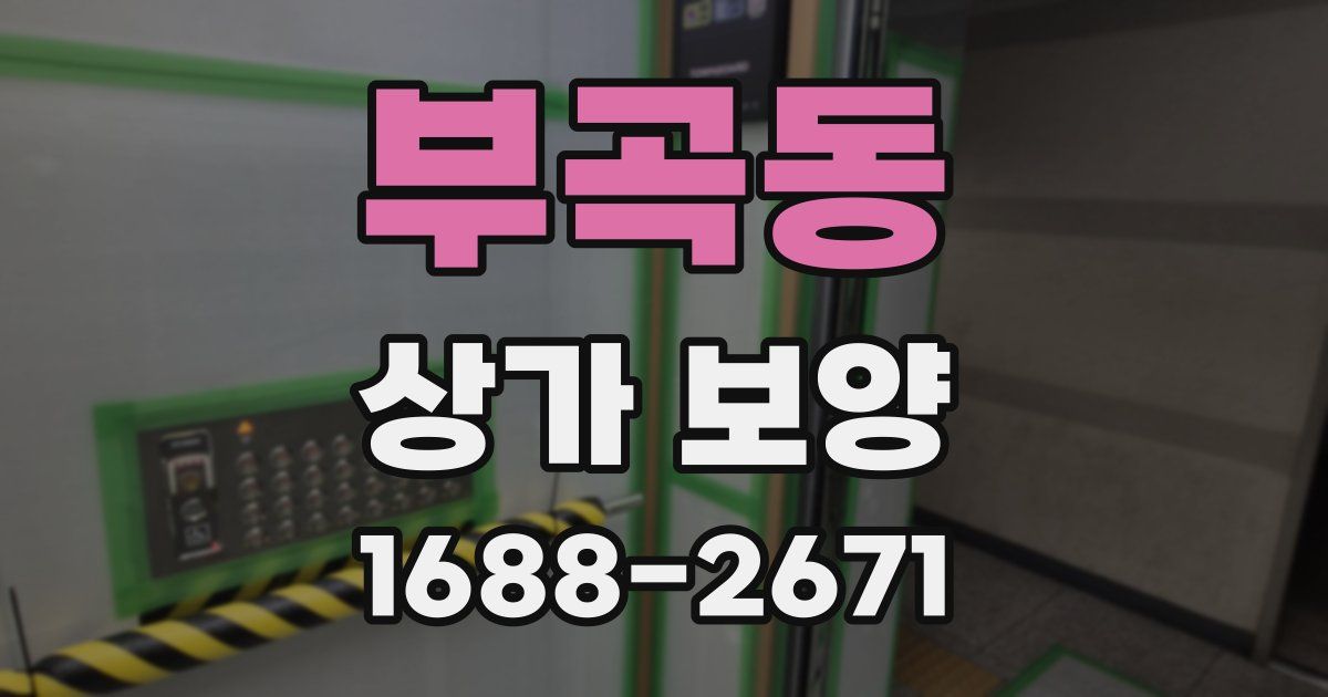 부곡동 상가 보양