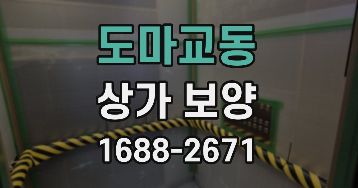 도마교동 상가 보양