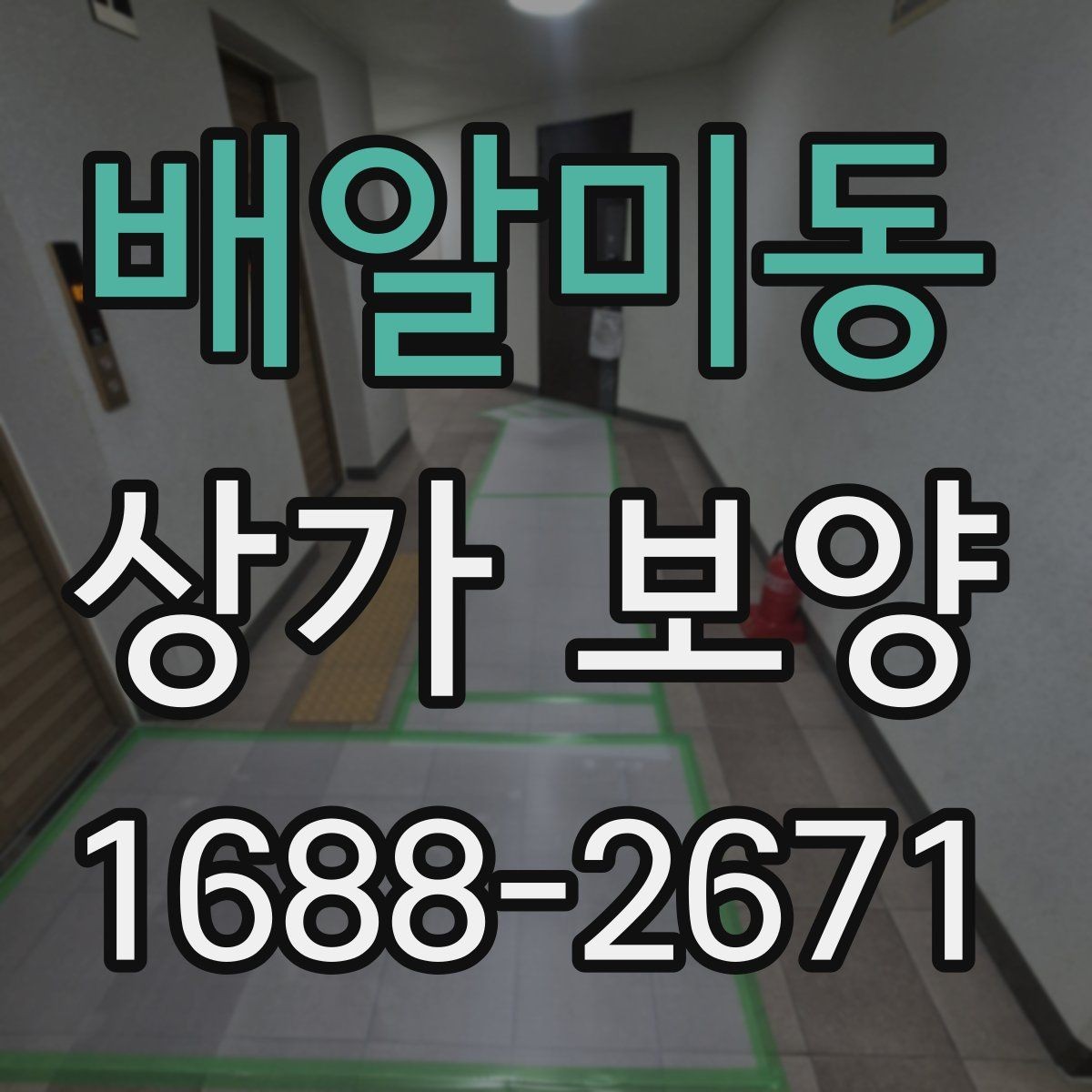 배알미동 상가 보양 시 공사 구역 분리하는 방법