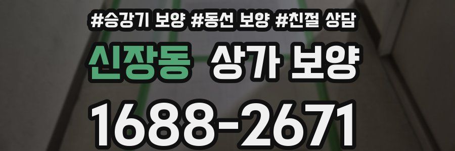 신장동 상가 보양