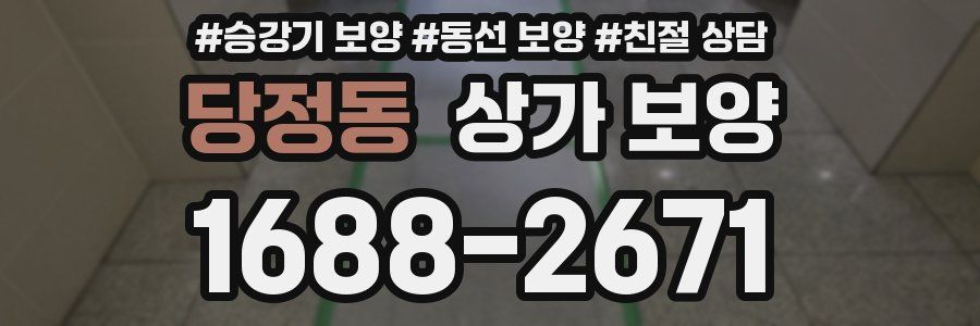 당정동 상가 보양