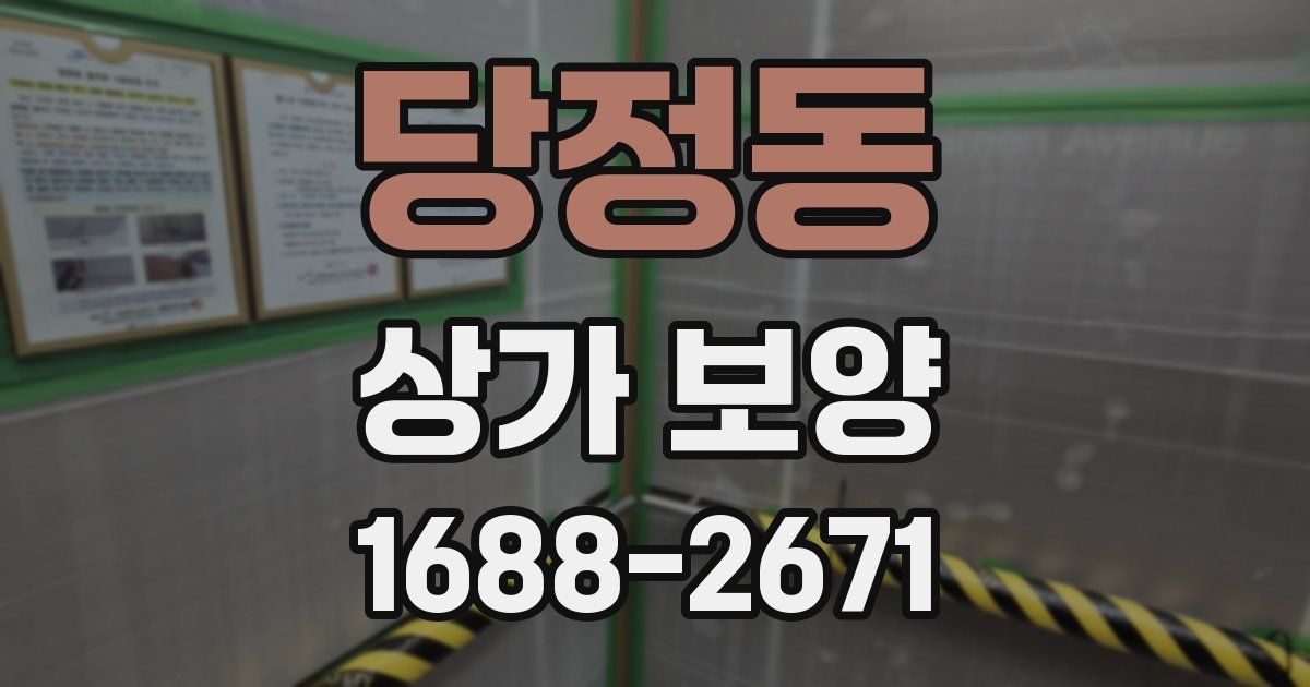 당정동 상가 보양