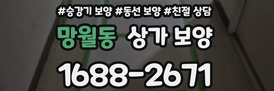 망월동 상가 보양