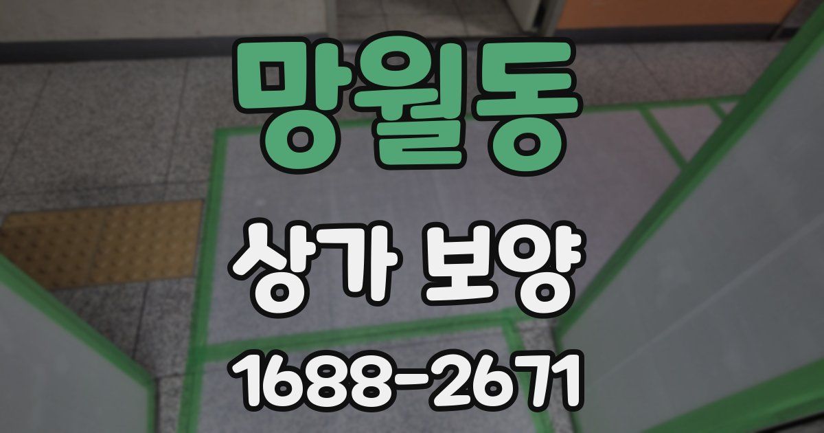 망월동 상가 보양