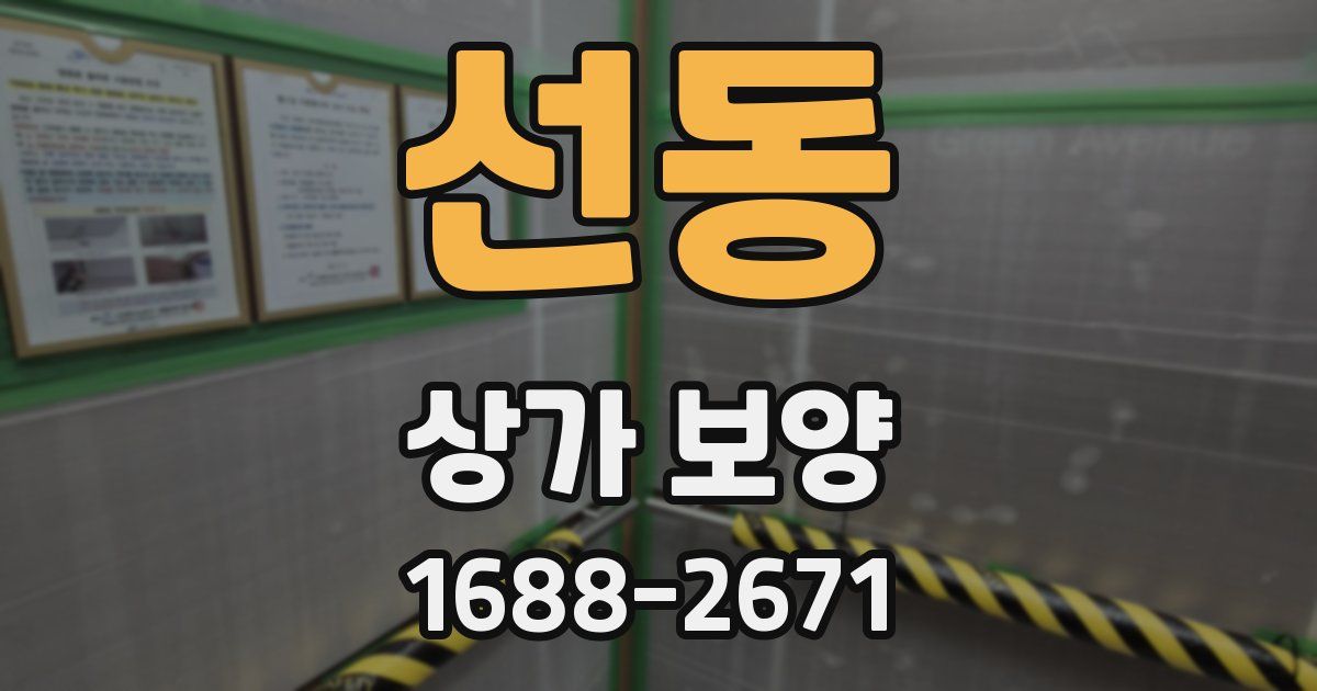 선동 상가 보양